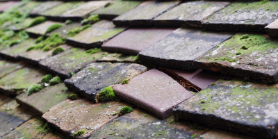 Catmore roof repair costs